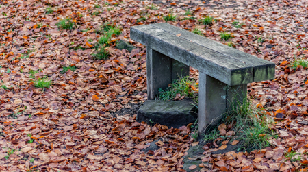 An old wooden bench surrounded by autumn leaves on the groundの写真素材