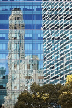 Reflections of a skyscraper on anther skyscraper  framed with trees in the lower right. Photo taken...