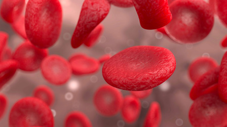 Red blood cell (erythrocyte) under microscope