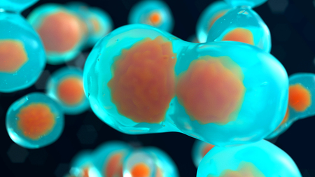 Cells embryo. Mitosis under microscope. 3d render illustrationの写真素材