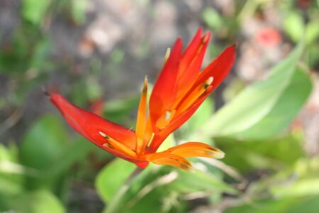 Puttharuksaの写真素材