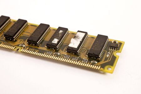 ram on isolated background\r\n