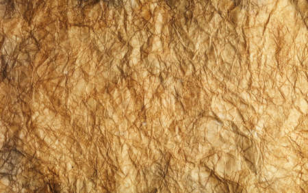 old paper backgroudの写真素材