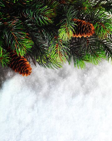 Christmas boarder with fir tree branch with cones on the snow.の写真素材