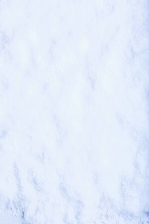 White frost snow background.の写真素材