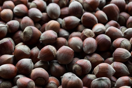 background of the hazelnutの写真素材
