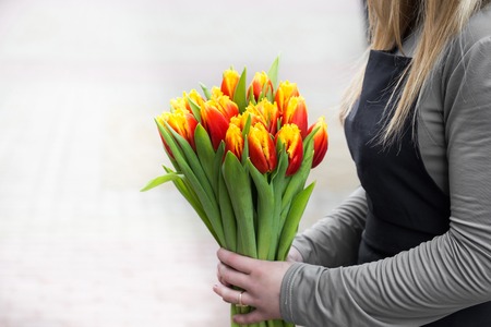 Young oman holding tulips. Gift card template, poster or greeting card - woman holding bouquet of tulips.の写真素材