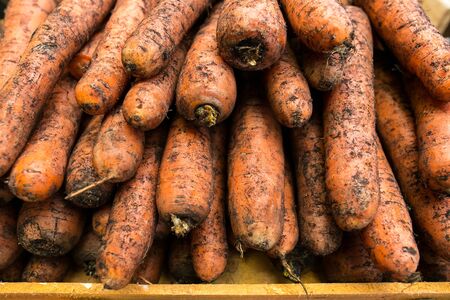 Carrots in the market. Fresh carrot. Food backgroundの写真素材