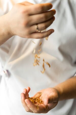 chef holding smoked tuna slices in his hands. Bonito Flakes in chef hands.の写真素材