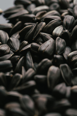 many black sunflower seeds background close up.の写真素材