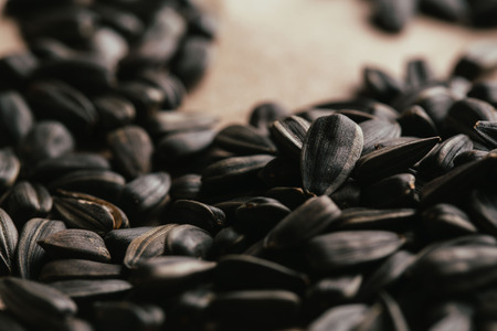 many black sunflower seeds background close up.の写真素材
