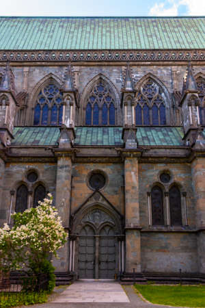Nidaros Cathedral, (Nidarosdomen) Trondheim Norway framed by green trees with blue sky backgroundの写真素材