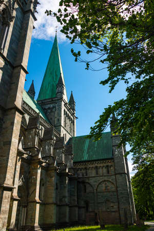 Nidaros Cathedral, (Nidarosdomen) Trondheim Norway framed by green trees with blue sky backgroundの写真素材