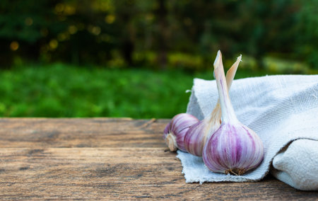 Ripe juicy garlic heads in the fresh air on a wooden backgroundの写真素材