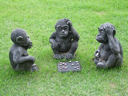 3 monkeyの写真素材