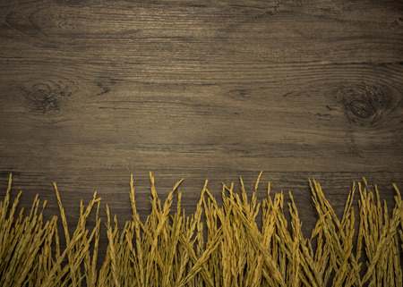 Dried paddy rice,rice plant on grey wooden background with copy spaceの写真素材