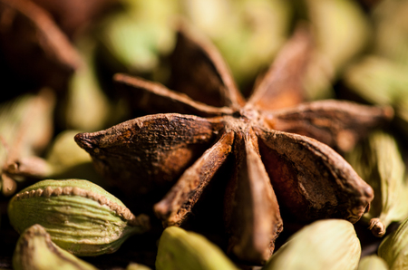 Cardamom and stars anise on wooden backgroundの写真素材