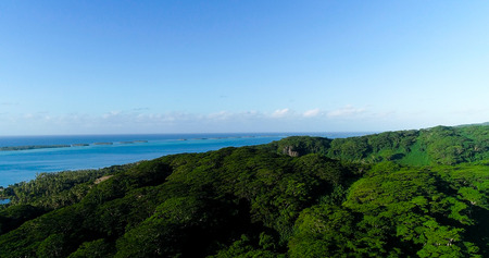 tropical forest with lagoon in aerial view