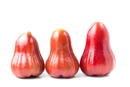 rose apple (chomphu) fresh isolatedの写真素材