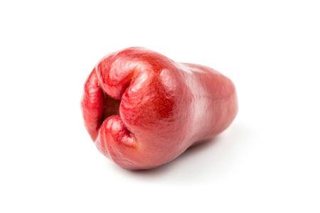 rose apple (chomphu) fresh isolatedの写真素材
