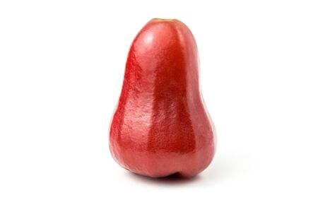 rose apple (chomphu) fresh isolated clipping path on white backgroundの写真素材