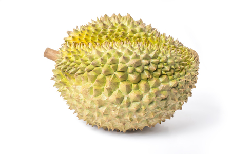 Durian monthong fruit fresh isolated on white background and clipping path. The name of science : Durio zibethenus Linn.の写真素材