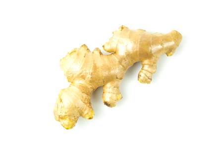 Ginger fresh isolated is a rooted plant with medicinal properties and is the elixir. with vitamins on white background and clipping path. The name of science : Zingiber officinale Roscoeの写真素材