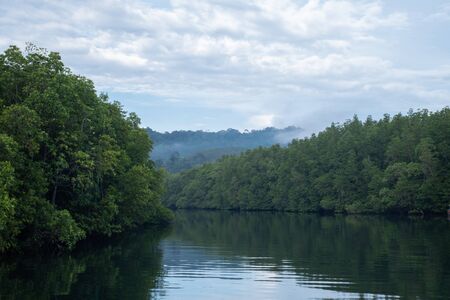River view with mangrove forest. And the clear skies with beautiful clouds. Suitable for tourism, recreationの写真素材