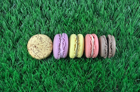 Macaroons in row close up on grass
