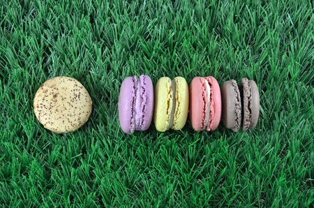 Macaroons in row close up on grass background.の写真素材