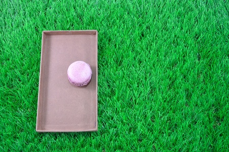 One macaroon on the box like a door の写真素材