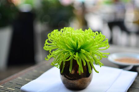 Green flower in dark vase decorated for tableの写真素材