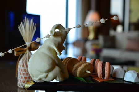 Set of chocolate of the various form with cookies and macaronの写真素材