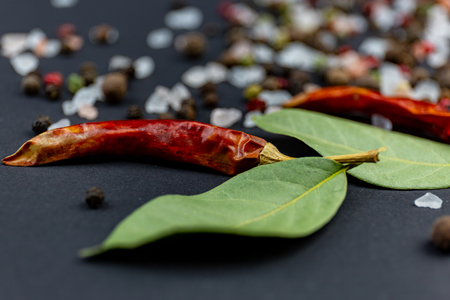Black background whith chilli, salt, pepper and laurelの写真素材