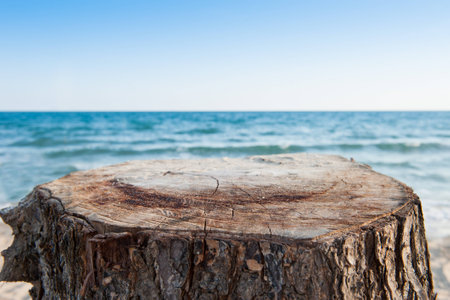 Empty wood and sea background.の写真素材