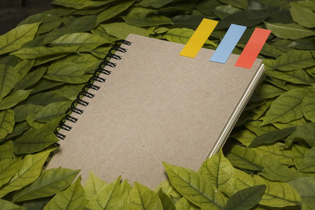 The leaves and notebook on wooden garden table.Vintage picture tone of Autumn background. can used...