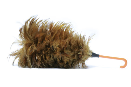 wood feather isolated on white backgroundの写真素材