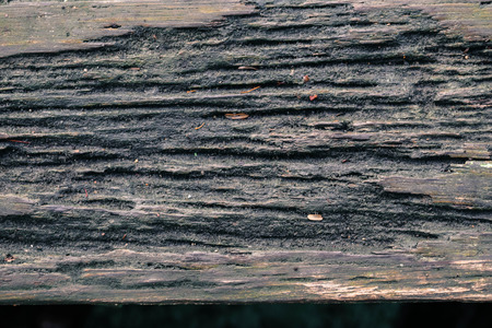 The old Wood Texture.の写真素材