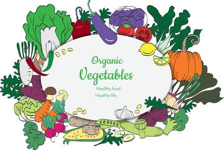 Organic food background and Copy space. Food vector different vegetables isolated white background.can used for graphic or product design.のイラスト素材