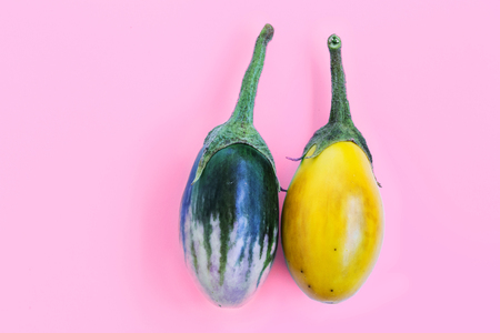 Creative layout made of eggplant on pink pastel background. Asia Eggplant. Fresh eggplant. Flat lay. minimal food idea concept. Creative to produce work within an advertising marketing communications.の写真素材