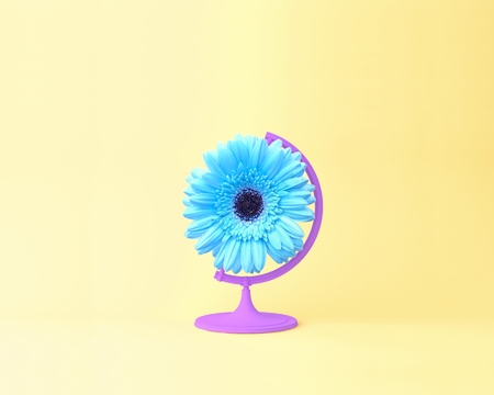 Globe sphere orb flower concept on pastel yellow background. minimal idea nature. An idea creative to artwork design or spring flowers and summer flowers concept.の写真素材