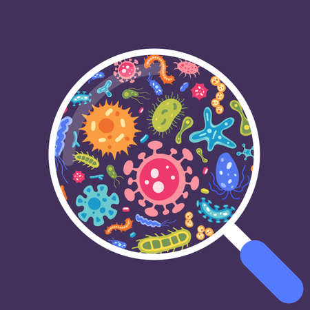 Vector collection of flat virus and microbe illustrations in magnifying glass. Bacteria icon set. Colourful cartoon amoebas and bacillus. Beautiful collection of microorganisms. Petri dish concept.のイラスト素材