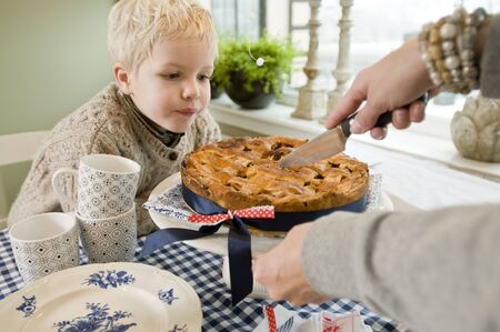 Preparing a winter diner in the kitchenの写真素材