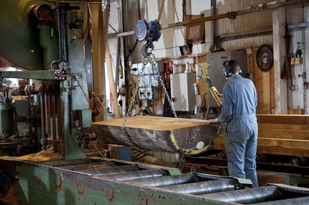 A man working the main saw in a sawmill