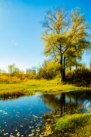 Along the riverbankの写真素材