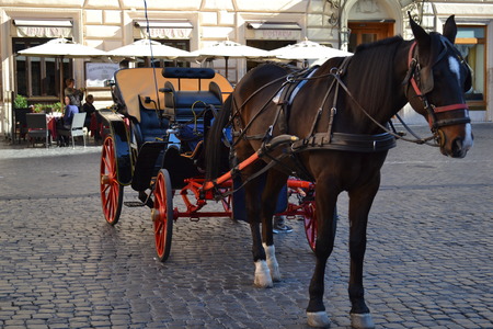 carriage with horse in Italyのeditorial素材