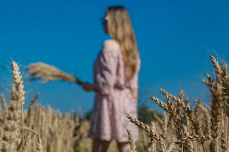 Girl walking on the field with wheatの写真素材