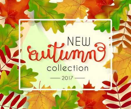New collection autumn 2017. Advertising banner with text in a frame and leaves. Hand lettering, calligraphy. Vector backgroundのイラスト素材
