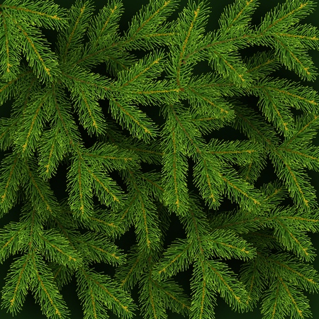 Christmas background with realistic branches of Christmas tree Festive backdrop Vector illustrationのイラスト素材