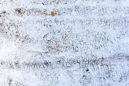 White Old dirty white wall grungy lichen material metal mold mould rough scratched spotte vintage stoneの写真素材